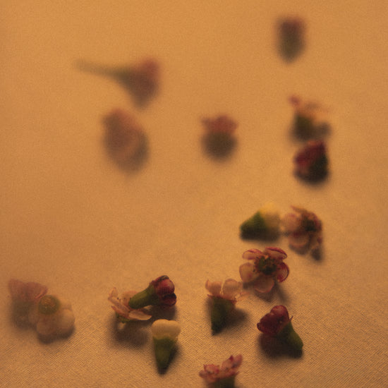 Cérémonie corporelle florale - AWŪ