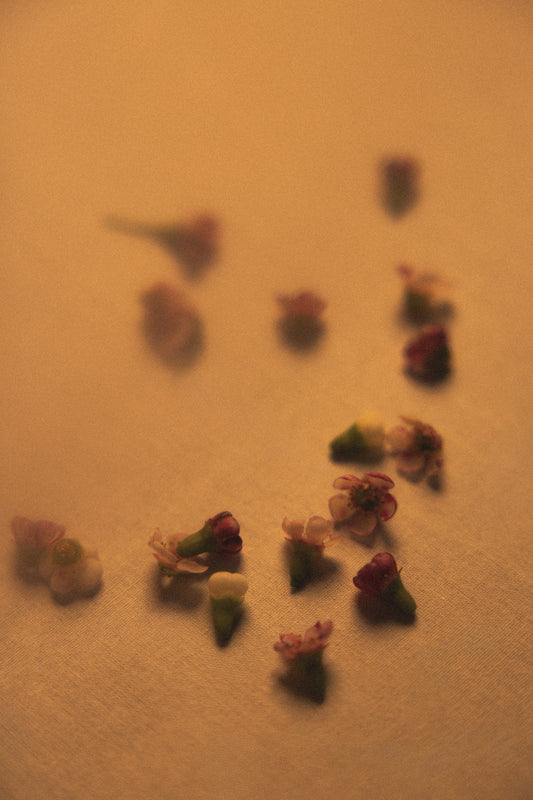 Cérémonie corporelle florale - AWŪ